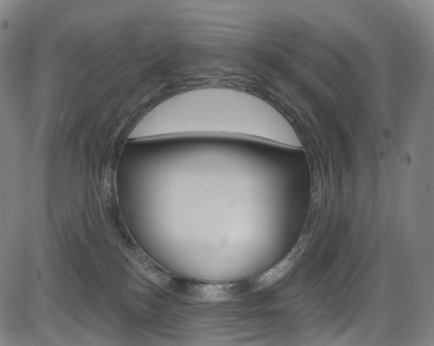 X0000085300184200703091129