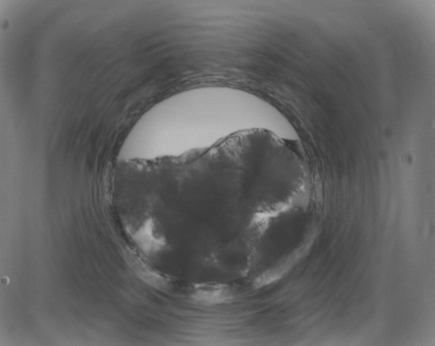 X0000085300185200703091129