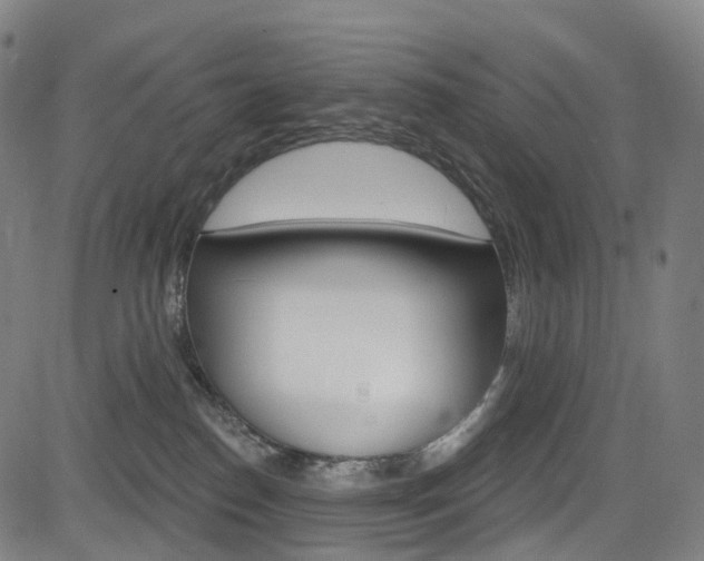 X0000085300186200703091129