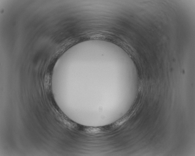 X0000085300189200703091129