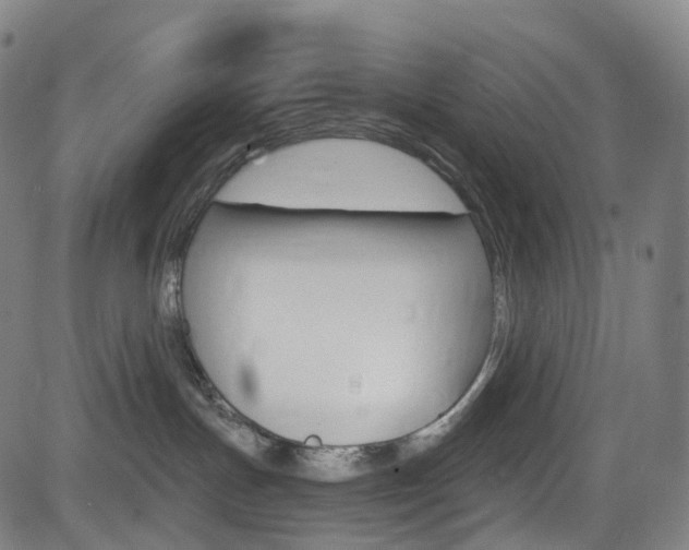 X0000085300191200703091129