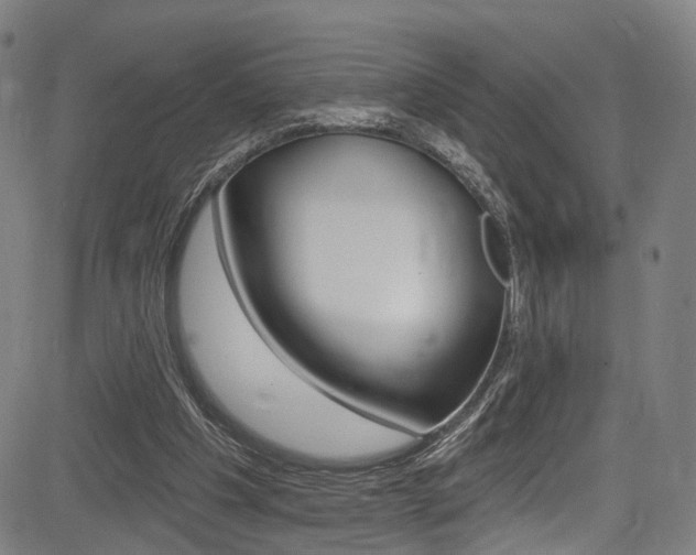 X0000085300201200703091128