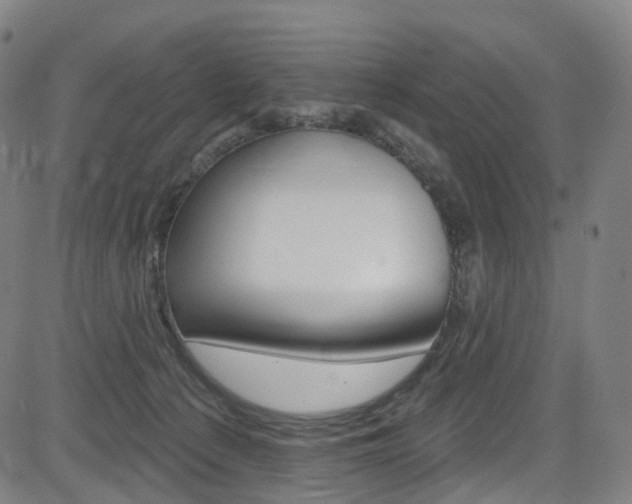 X0000085300225200703091128