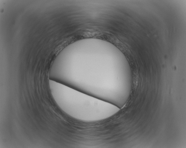 X0000085300226200703091128