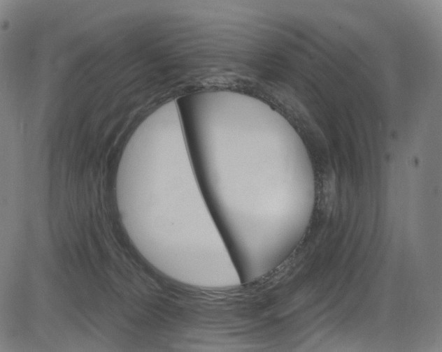 X0000085300228200703091128