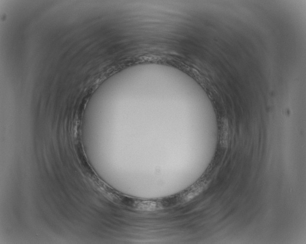 X0000085300230200703091127