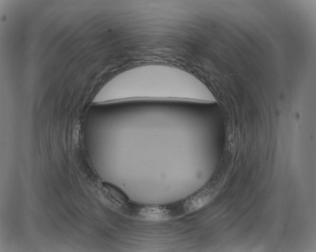 X0000085300231200703091127