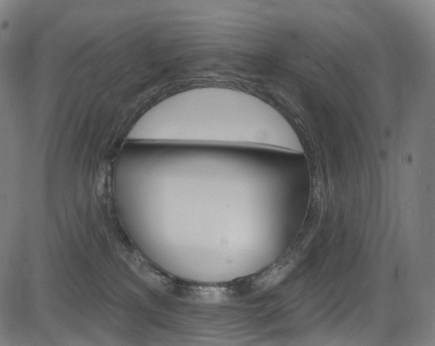 X0000085300233200703091127