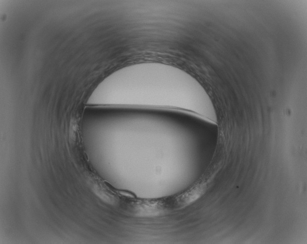 X0000085300235200703091127