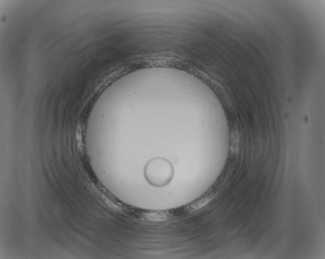 X0000085300238200703091127