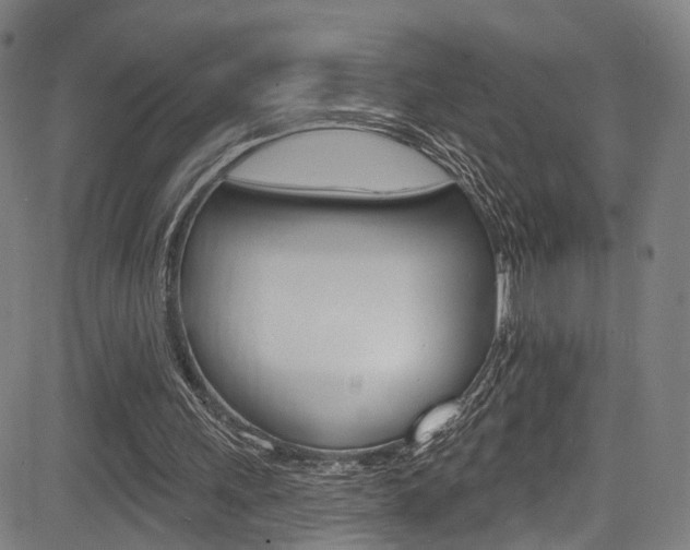 X0000085300243200703091127