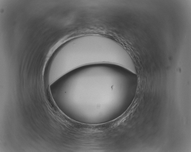 X0000085300246200703091127