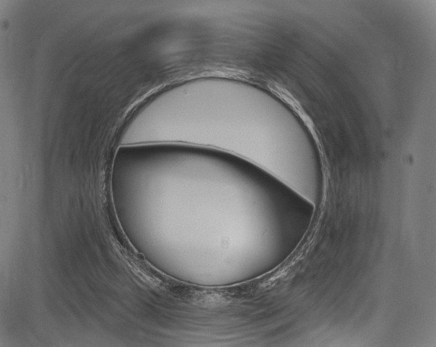 X0000085300249200703091127