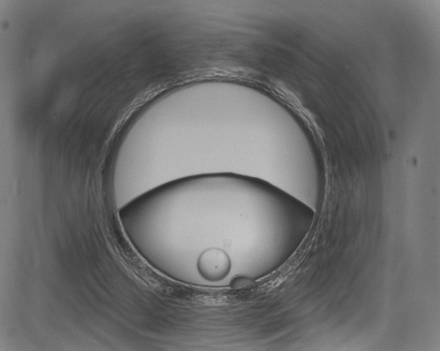 X0000085300250200703091127