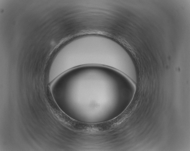 X0000085300256200703091127