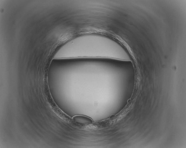 X0000085300257200703091127