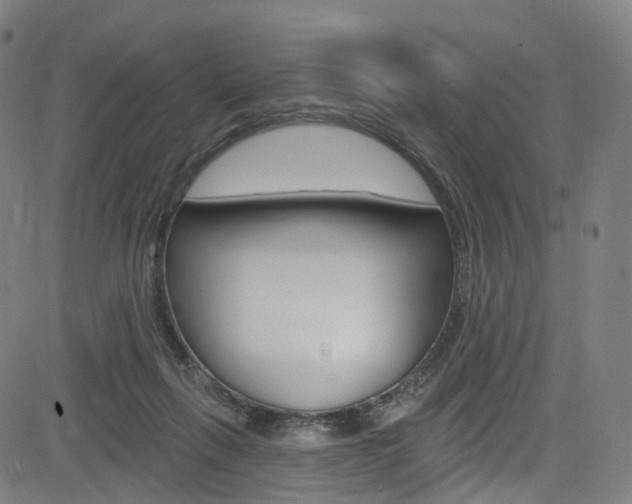 X0000085300263200703091127