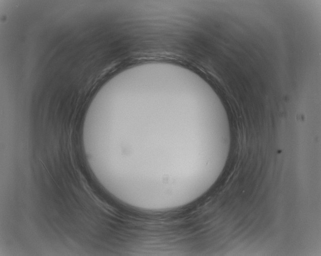 X0000085300264200703091127