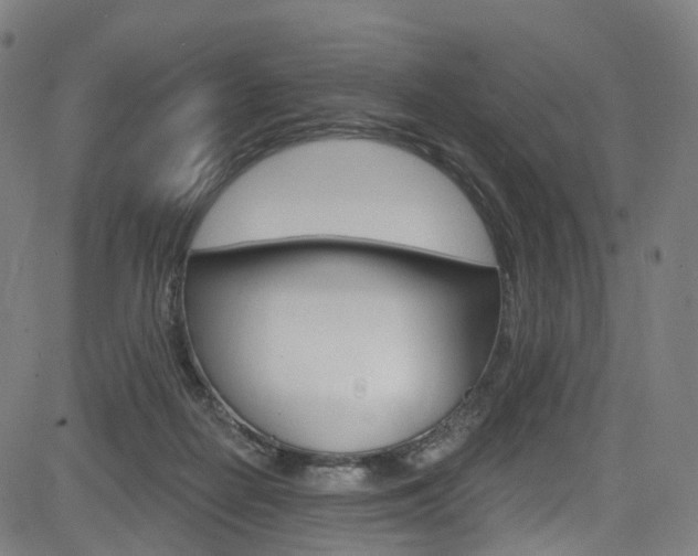 X0000085300266200703091127