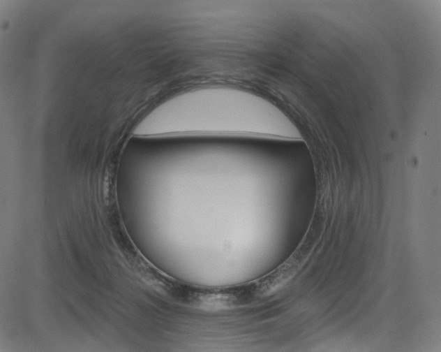 X0000085300268200703091127