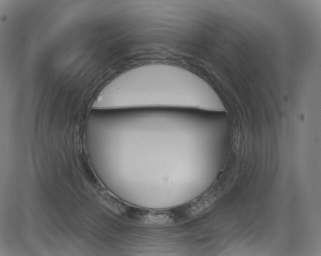 X0000085300270200703091127