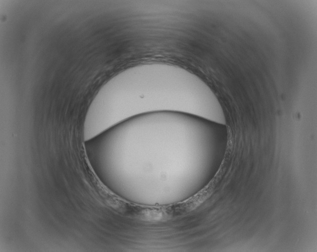 X0000085300272200703091127