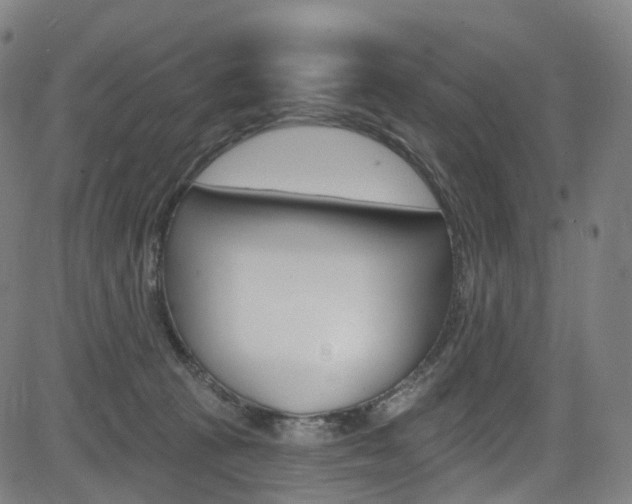 X0000085300273200703091127