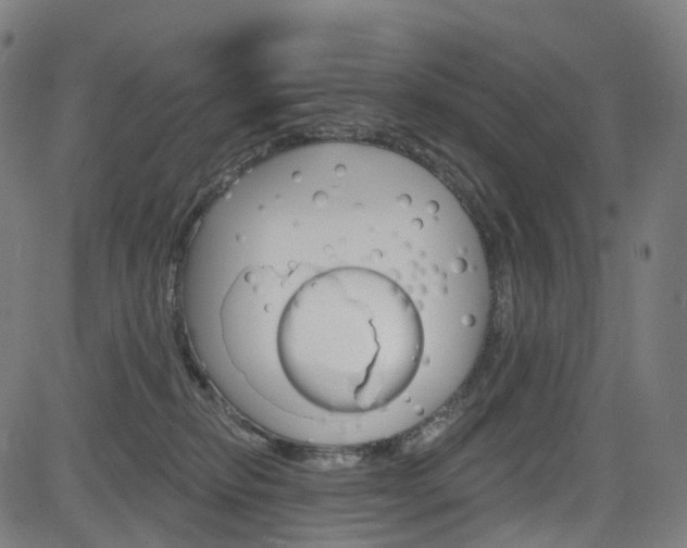 X0000085300278200703091127