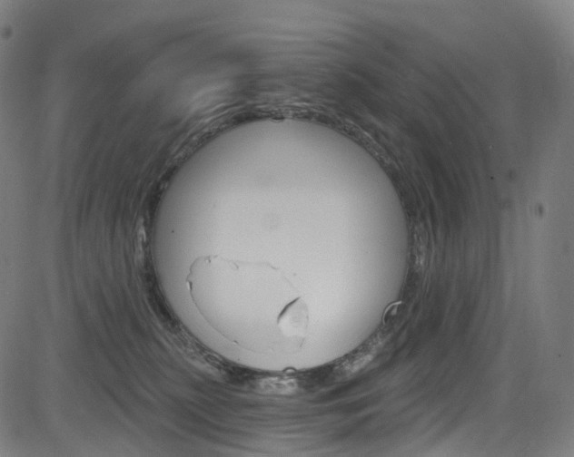 X0000085300279200703091127