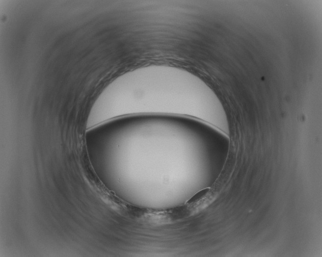 X0000085300280200703091127