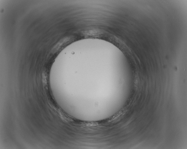 X0000085300282200703091127