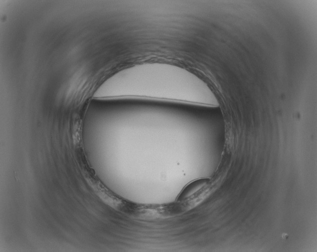 X0000085300285200703091127