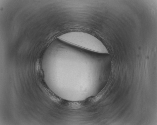 X0000085300287200703091127