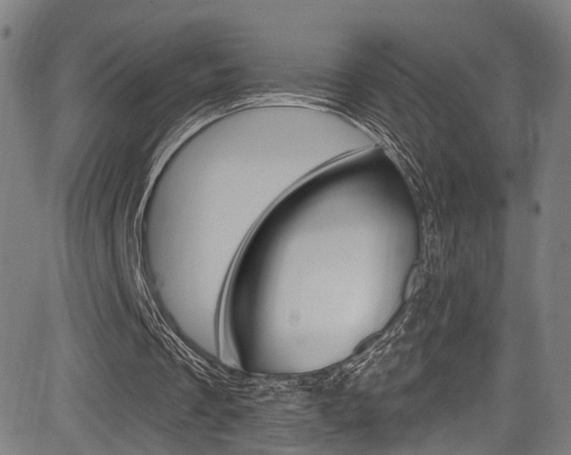 X0000085300289200703091127