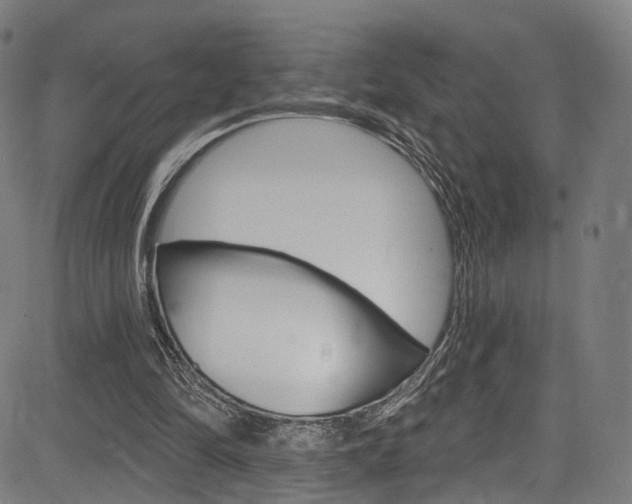 X0000085300294200703091126