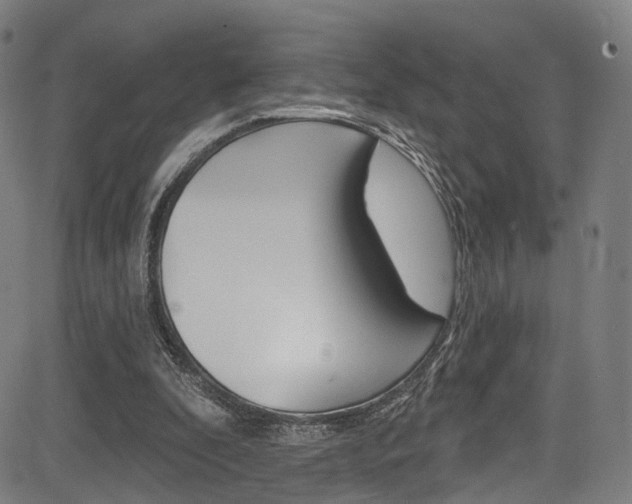 X0000085300296200703091126