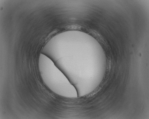 X0000085300326200703091126