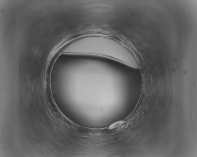 X0000085300344200703091125