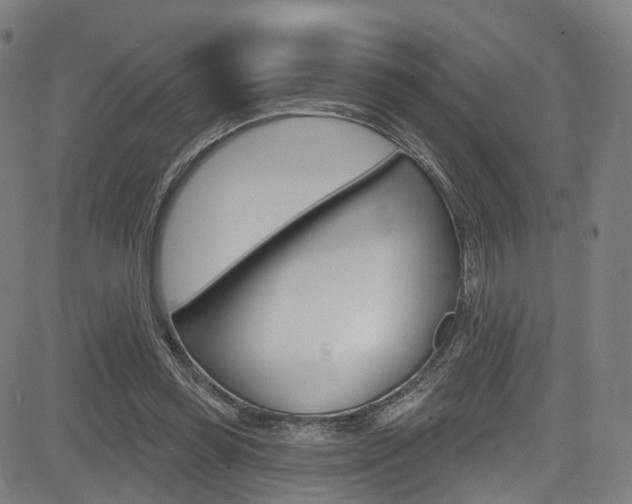 X0000085300349200703091125