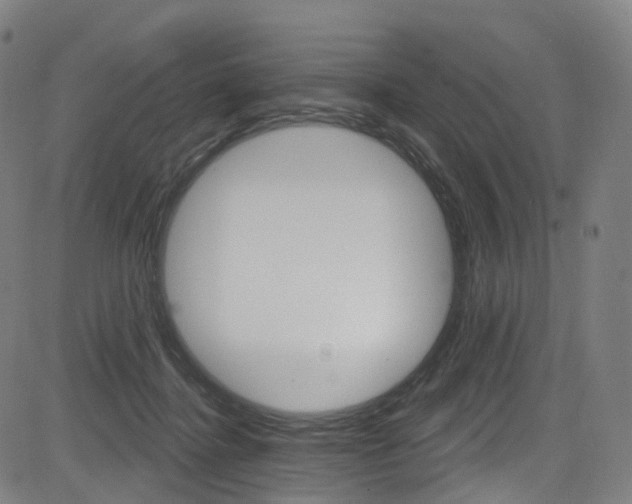 X0000085300364200703091125