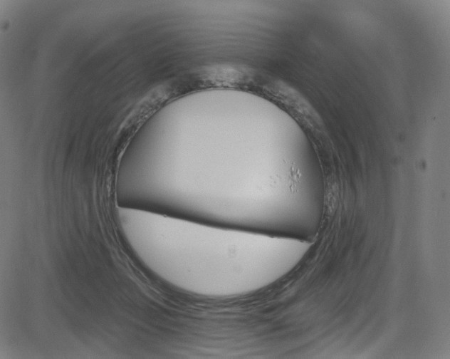 X0000085300365200703091125