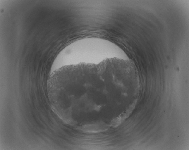 X0000085300375200703091126
