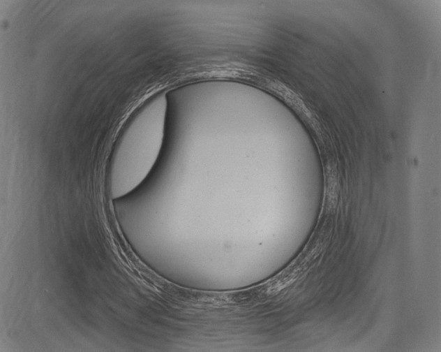 X0000085300386200703091125
