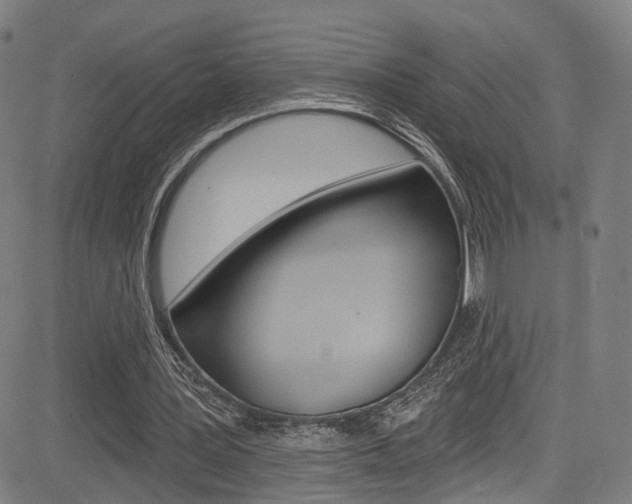 X0000085300387200703091125