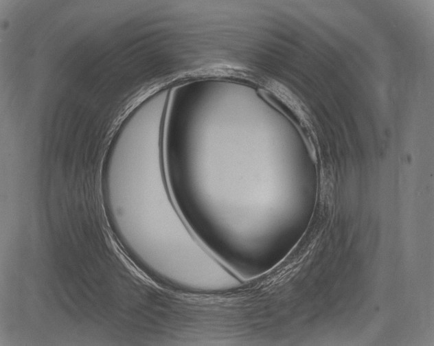 X0000085300389200703091125