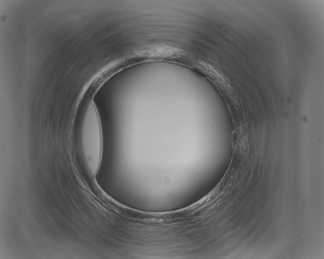 X0000085300392200703091125