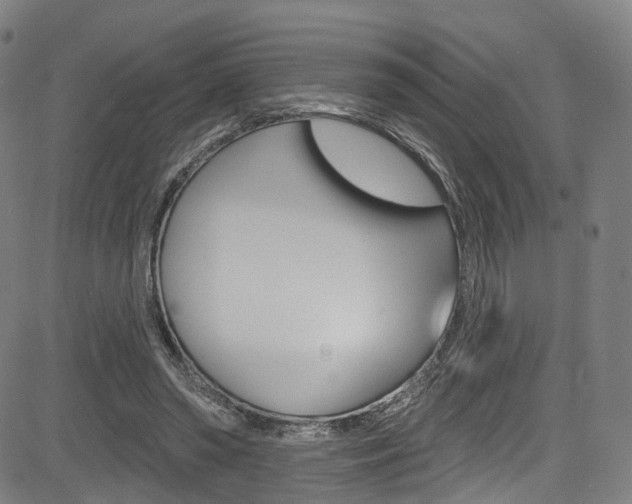X0000085300398200703091125