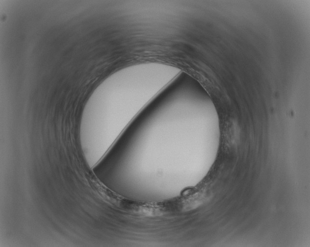 X0000085300420200703091124