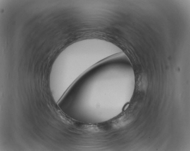 X0000085300424200703091124