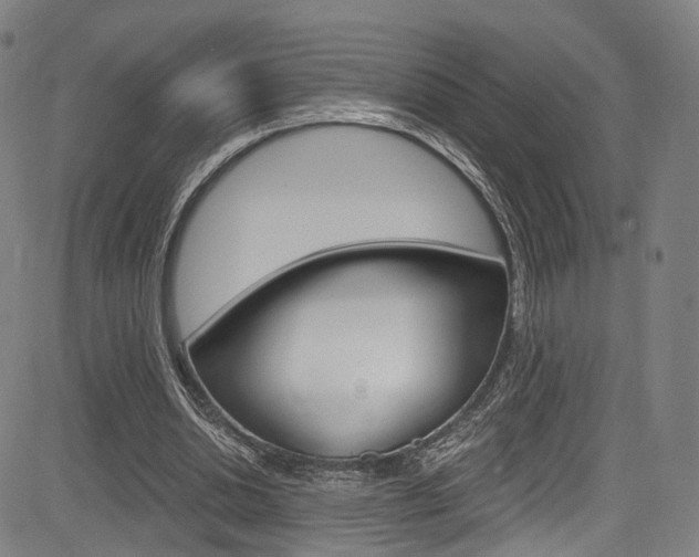 X0000085300438200703091123